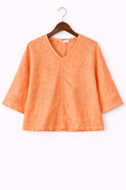 V-Neck Embroidered Top