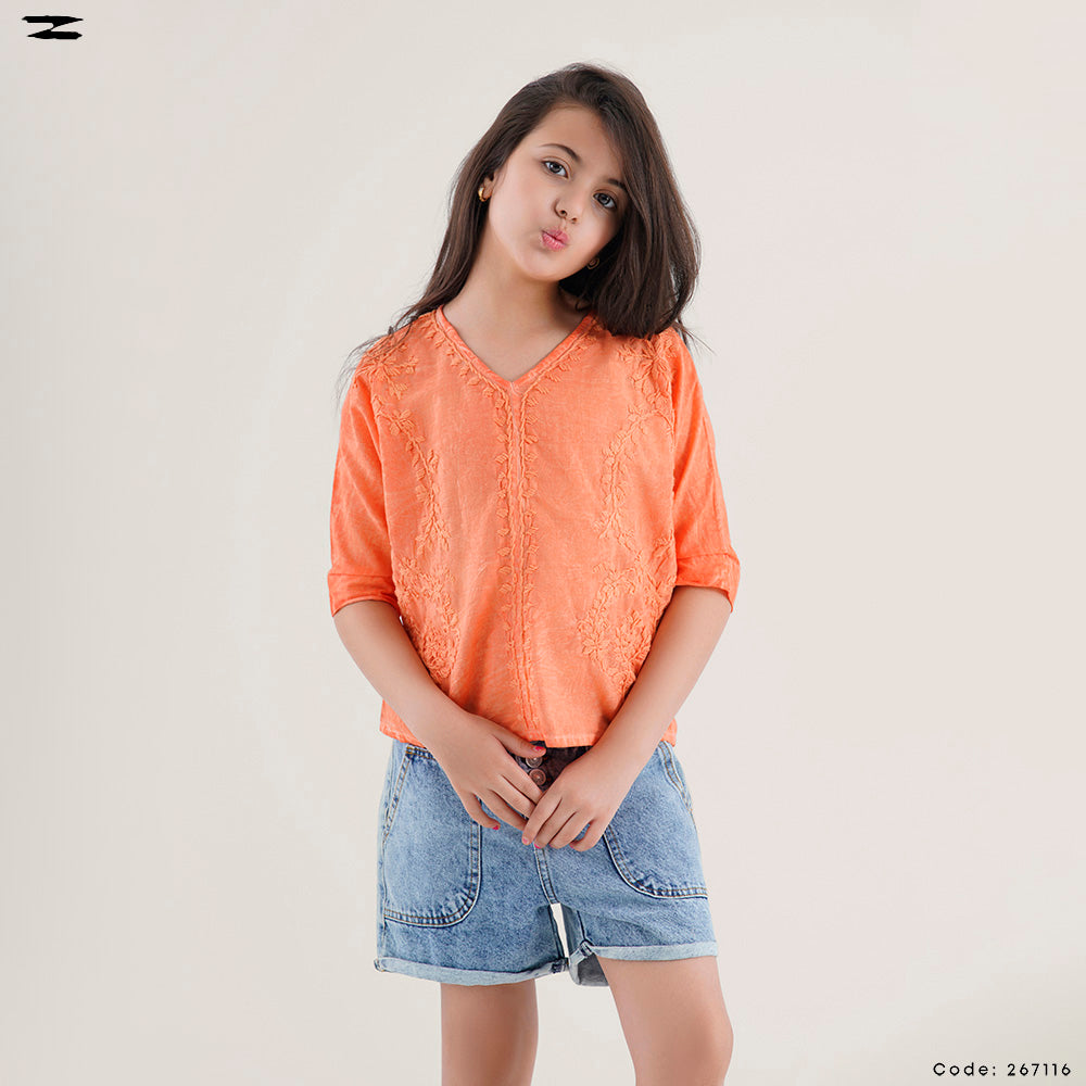 V-Neck Embroidered Top